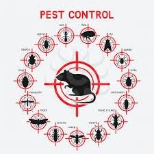 Joey’s Pest Control