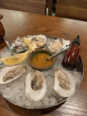 East and West Coast oysters