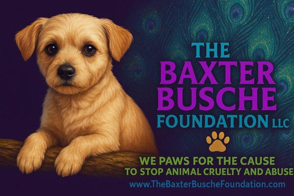 The Baxter Busche Foundation