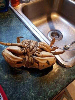 Pine River Fish Market