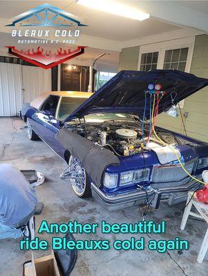 Bleaux Cold