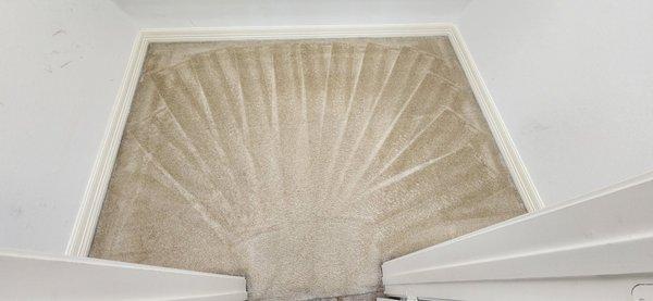 Shook Carpet Cleaning