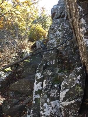 Mount Marshall Trailhead