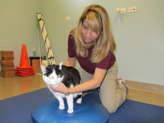 Dr. Arlene Rodriguez helps Turnip have some fitness fun!