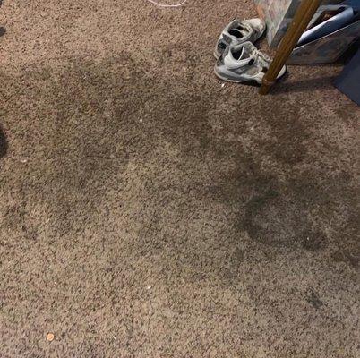 UNION Cleaning National Services