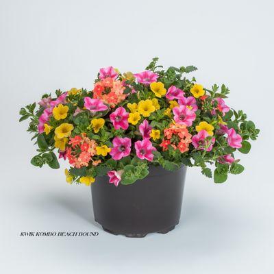 Garden Starts Nursery