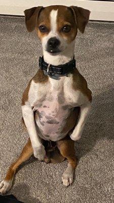 East End Neuropsychiatric Assoc PC