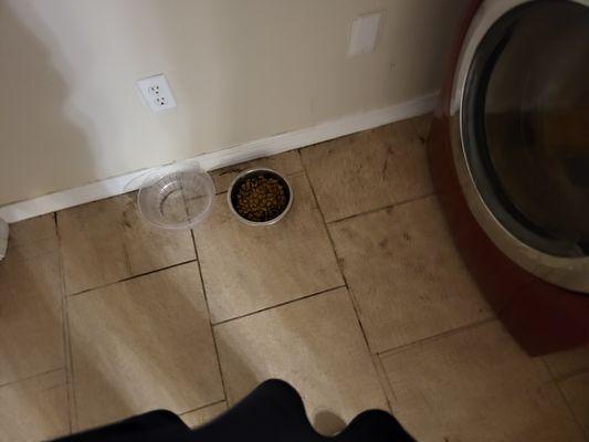 Nested Cleaning Solutions