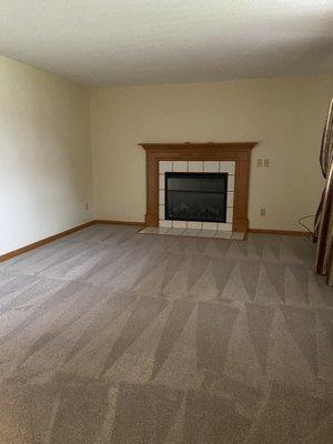 Wagner Carpet Cleaning
