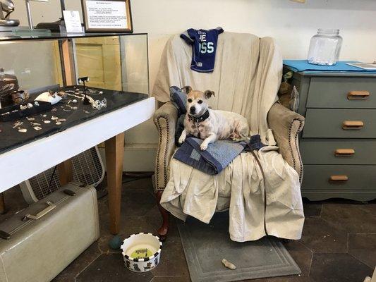 Check out that Zack!! Love bug!