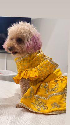 Advanced Veterinary Medical Center