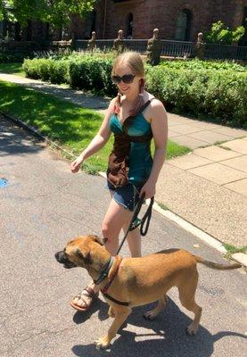 Twin Cities Premier Dog Boarding