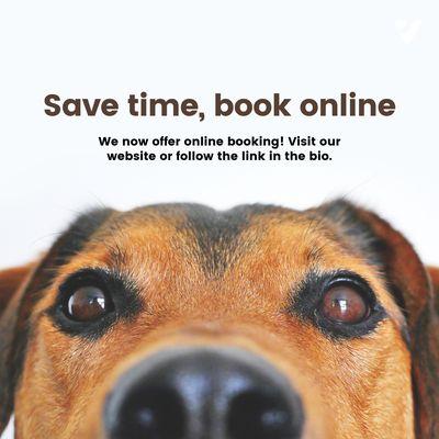 Partners Animal Hospital Asheville