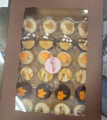 Lancaster Cupcake