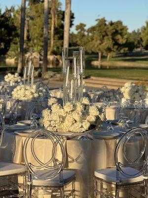 Vinnys Plants and Flowers
