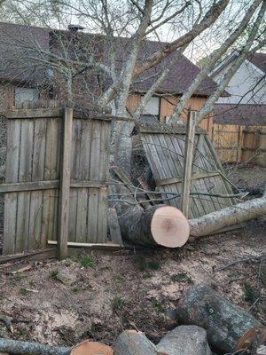 Talley Brand Landscaping Service