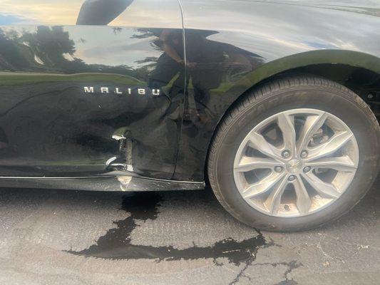 David Torres Landscaping