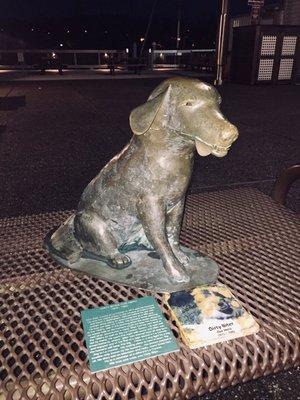 A tribute to the local hero dog: Dirty Biter