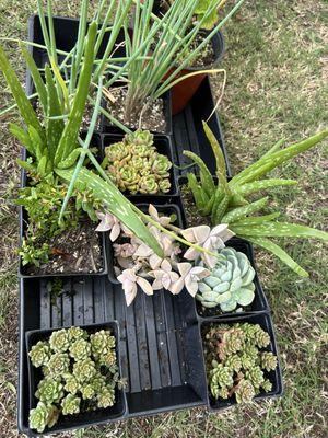 St John's Episcopal Church