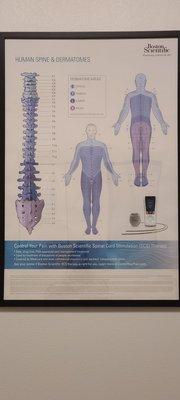 Elite Pain and Spine Institute