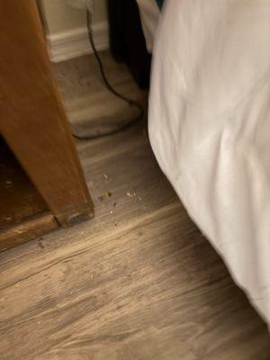 Desert Winds Independent Living