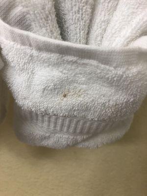 Quality Inn & Suites Lehigh Acres Fort Myers