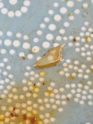 Large piece of sharp plastic in my food.