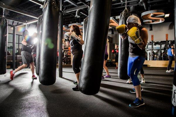 Legends Boxing - Lehi