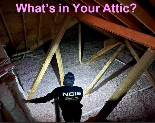 Insulation slows the heat transfer in your attic.
Our product stops heat transfer by 97%!