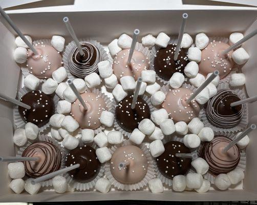 Cathys Chocolate Covered Treats