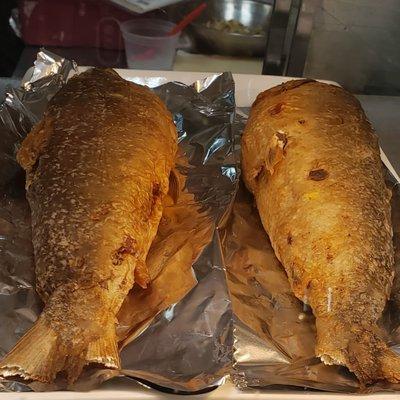 Fish