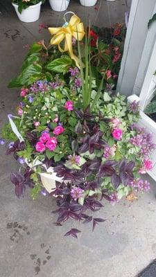 Stuckmeyer Plants & Produce