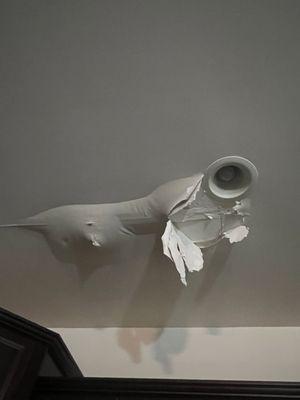 Len the Plumber, LLC