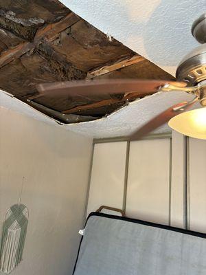 Travelers Property Casuality Insurance Compan