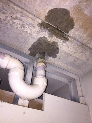 Martin Paul J Apartments