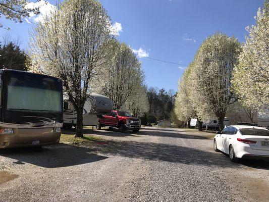Over-Niter RV Park