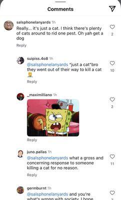 Sal's Custom Upholstery