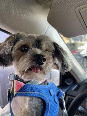 Personal Touch Pet Care Salon & Mobile Grooming