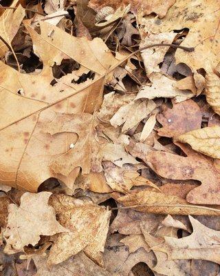 Perfect Christmas Day hike