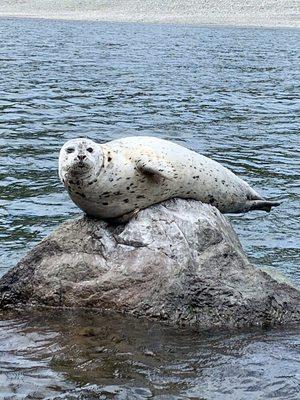 Rogue Landing Resort