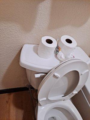 Used TP, gross toilet.