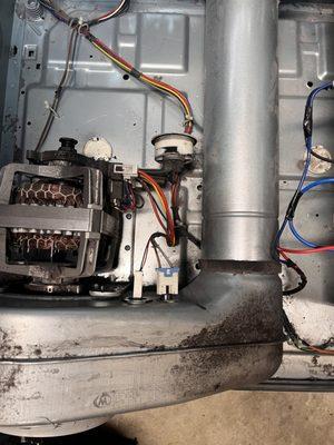 Expert Appliance Repair