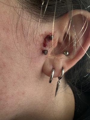 Fabulous Brow Threading