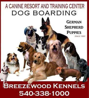 Breezewood Kennels