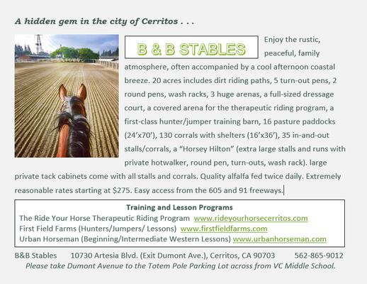 Wonderful boarding and training options available!