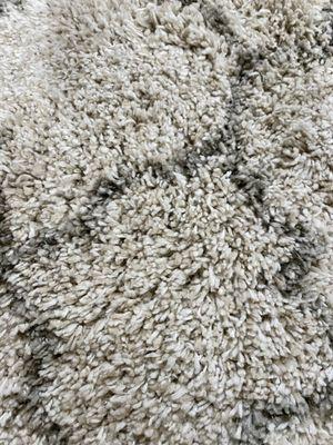 Allred's Performance Plus Carpet & Tile Cleaning