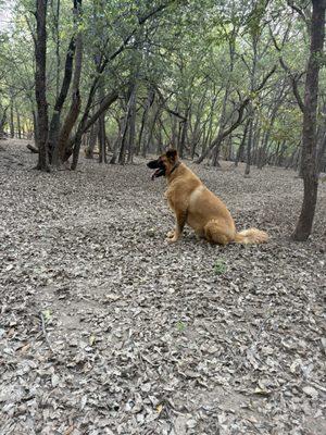 Tails 'N Trails photo