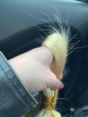 The Hair Palace