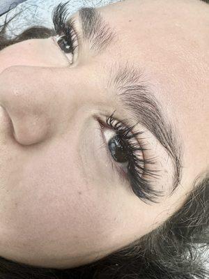 Wispy Lashes By Kim