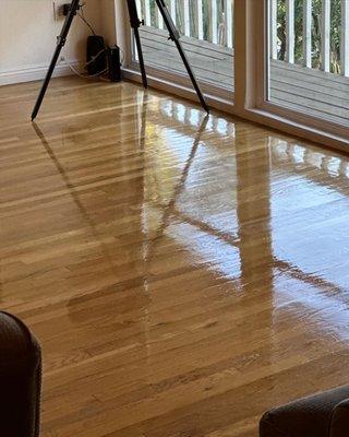 EcoFriendly Carpet & Upholstery Cleaning